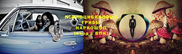 ГАЛЛЮЦИНОГЕННЫЕ ГРИБЫ Алзамай