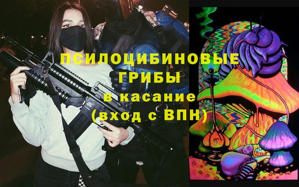 мяу мяу мука Алексеевка