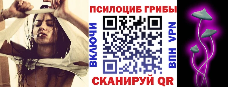 дарнет шоп Чёрмоз Галлюциногенные грибы ЛСД